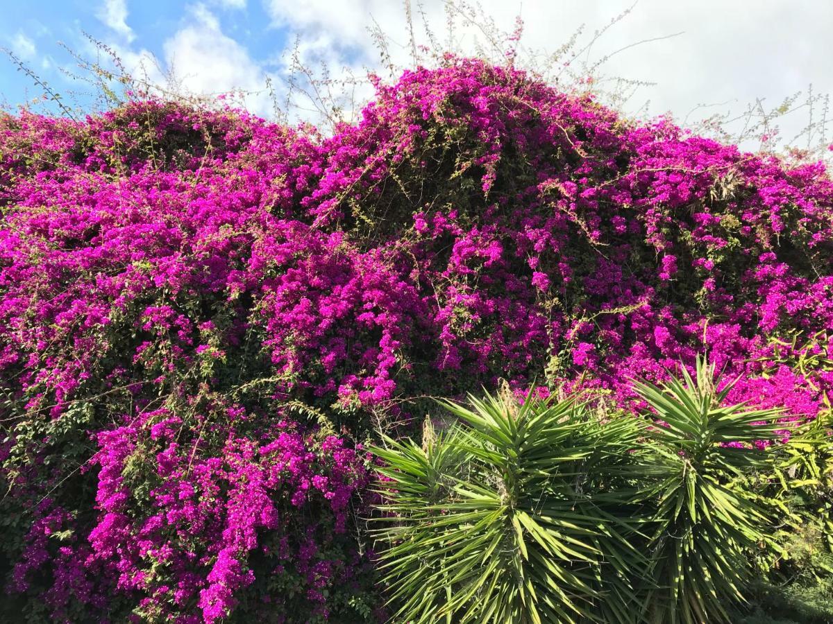 Apartamentos Do Mar Funchal 外观 照片