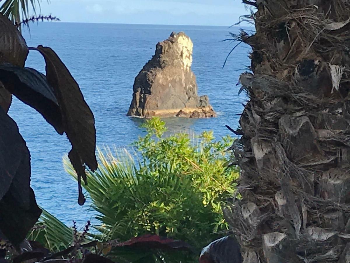 Apartamentos Do Mar Funchal 外观 照片