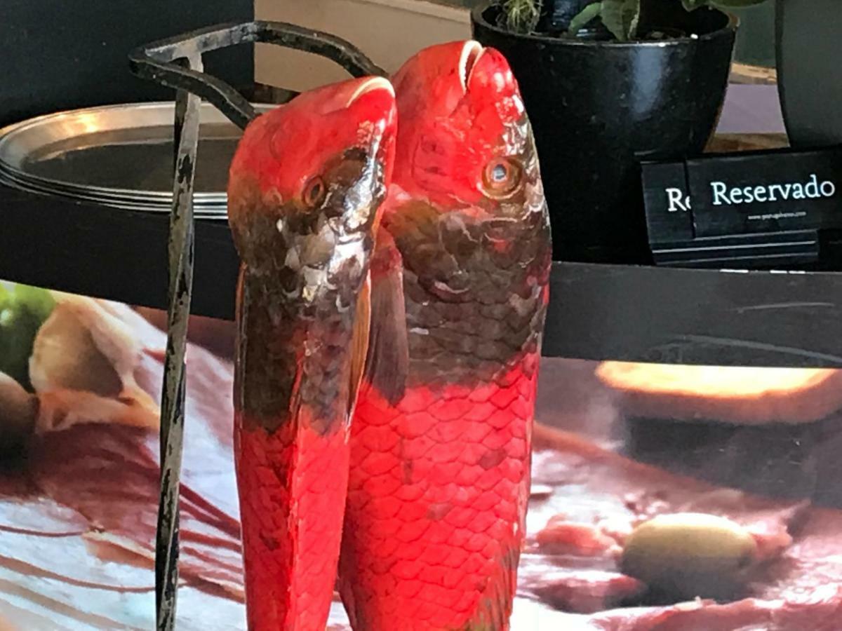 Apartamentos Do Mar Funchal 外观 照片